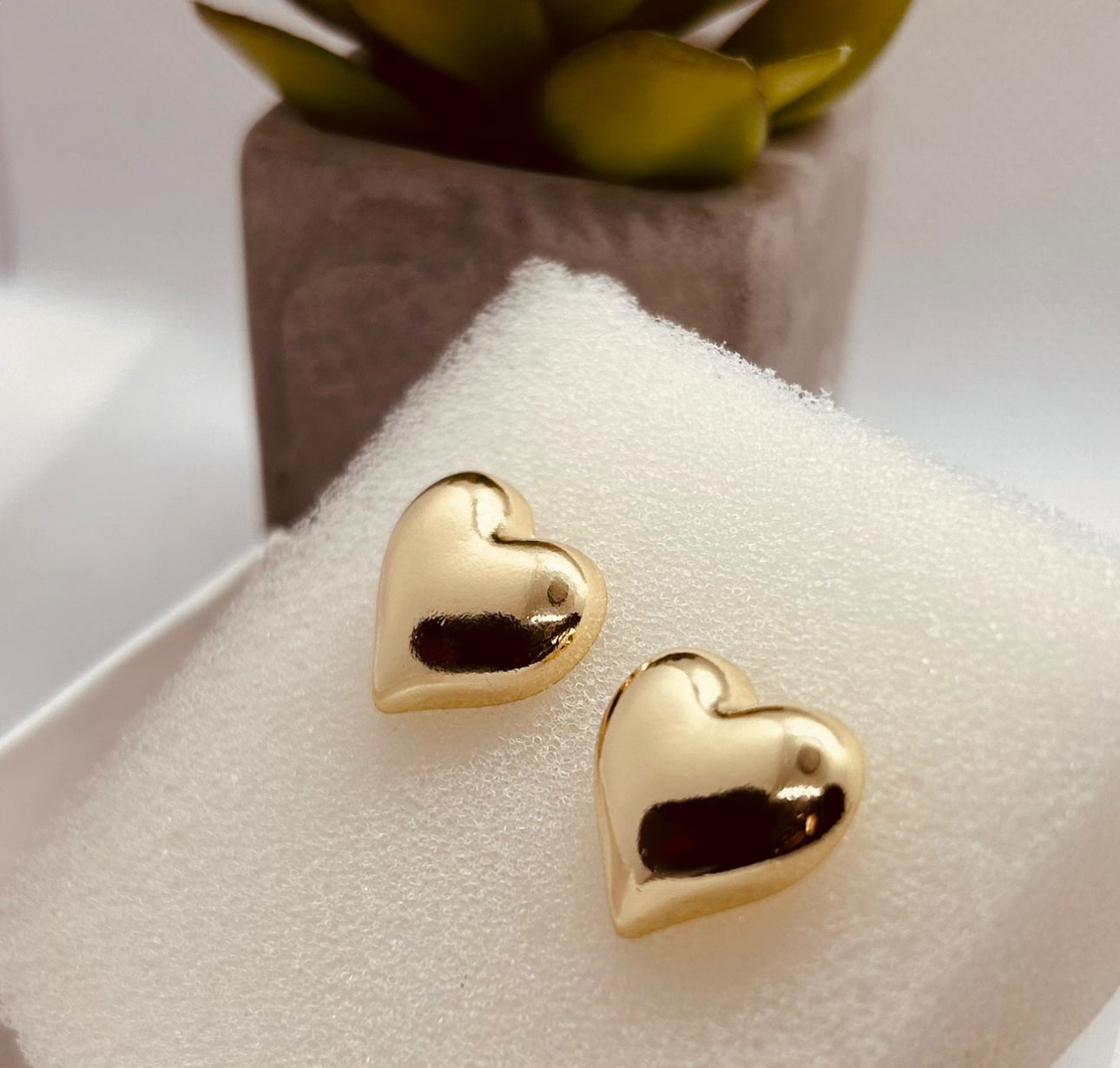 Delicate Heart Earrings